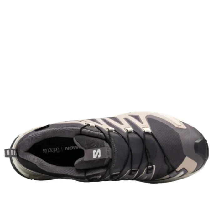 Salomon XA PRO 3D V9 GTX „Dark Grey Beige“