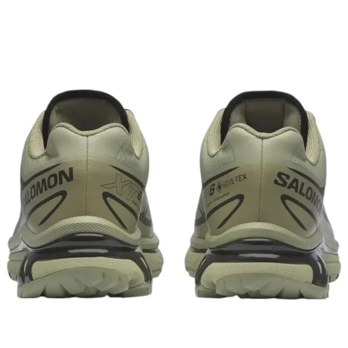 XT-6 Gore-Tex „Tea Peat“